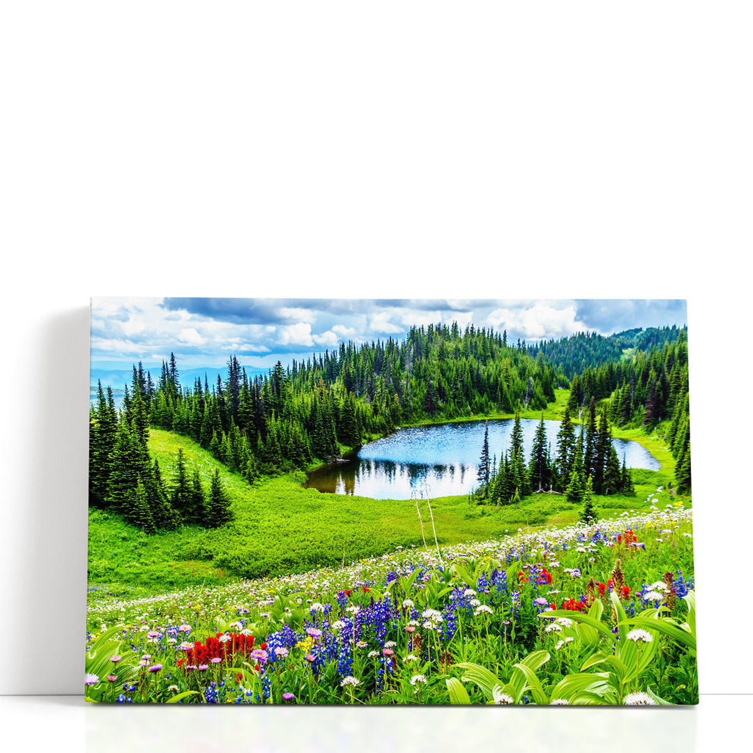 Tod Lake Through The Alpine Meadows, British Columbia - Canvas Print Wall Art