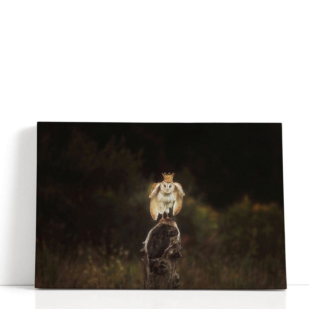 The Owl King - Canvas Print Wall Art