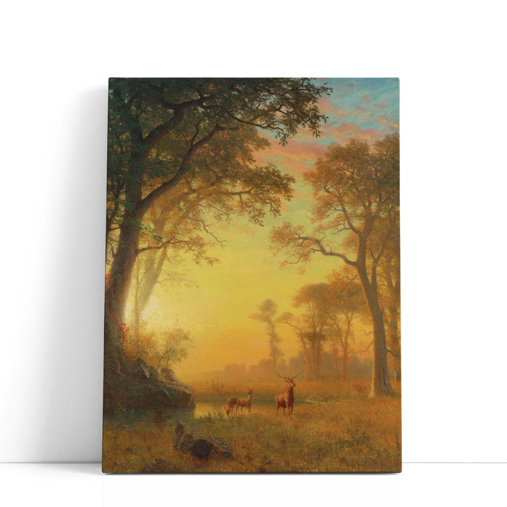 Light In The Forest - Canvas Print Wall Art