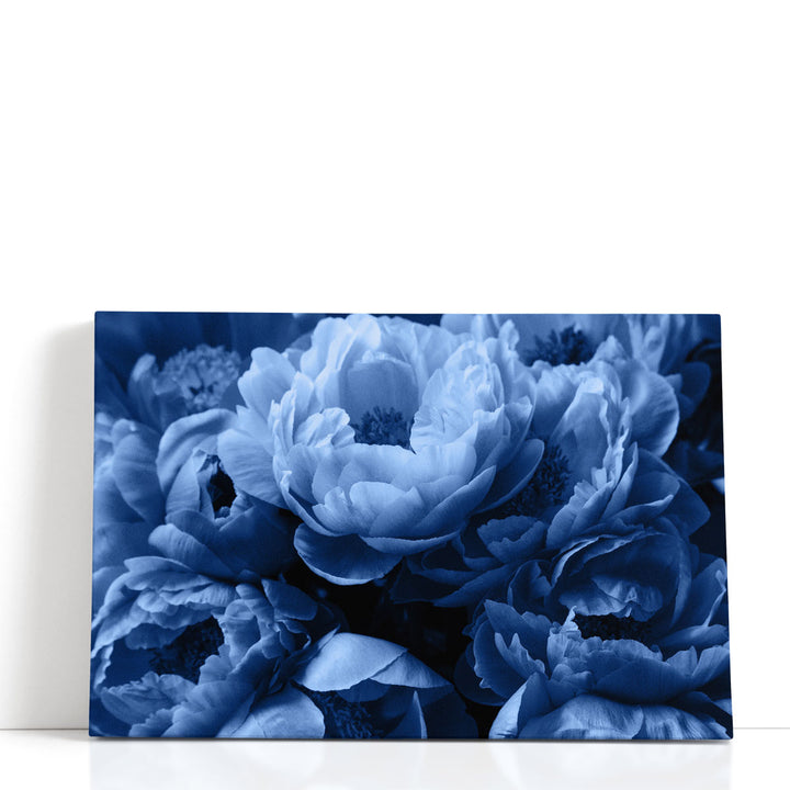 Blue Peony Rose Flowers - Canvas Print Wall Art