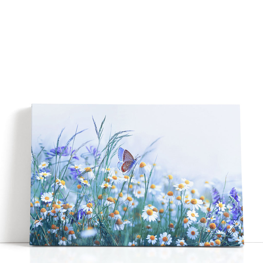 Chamomile, Purple Wild Peas, Butterfly in Morning Haze - Canvas Print Wall Art