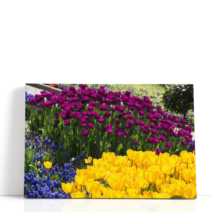 Colorful Blooming Flowers in Spring Season - Canvas Print Wall Art