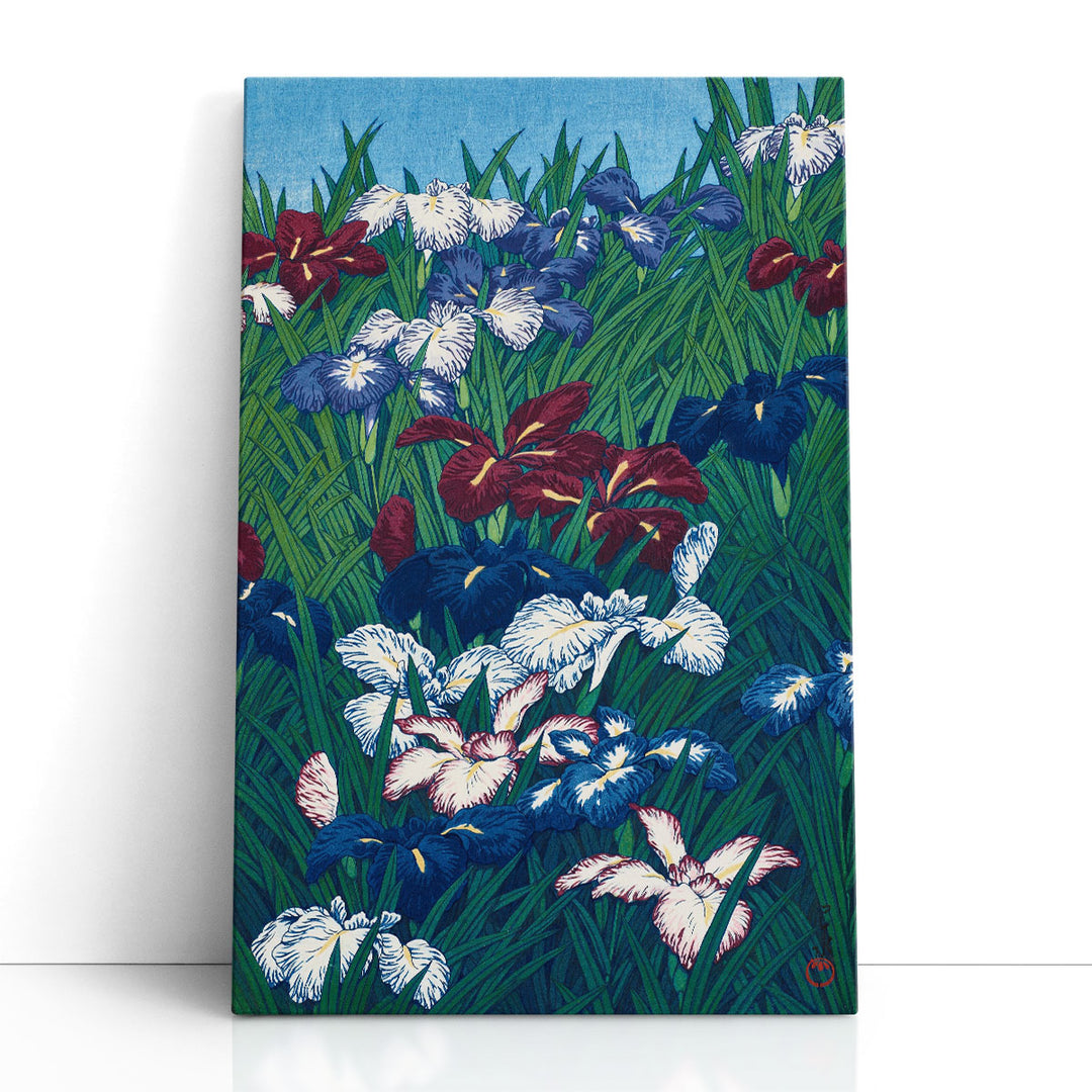 Iris, 1929 - Canvas Print Wall Art