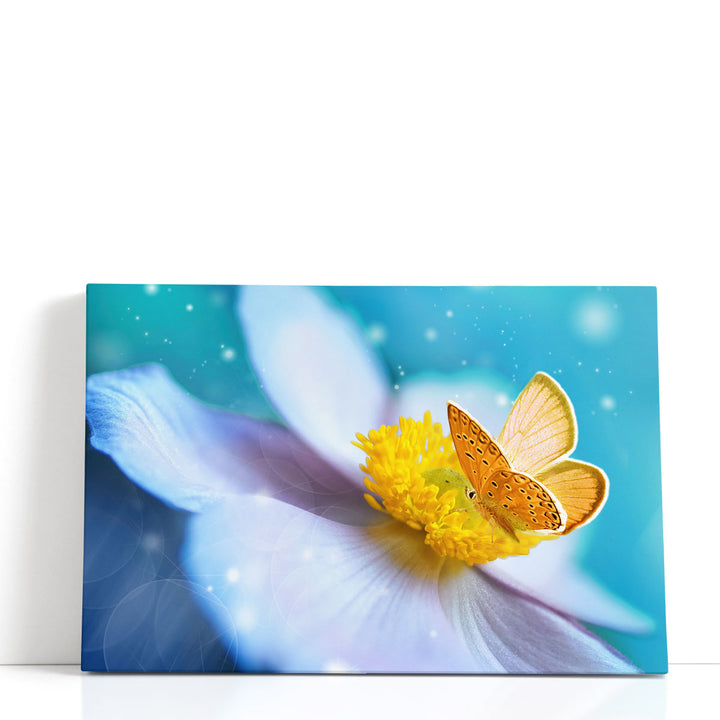 White Anemone Flower With Yellow Stamens and Butterfly - Canvas Print Wall Art