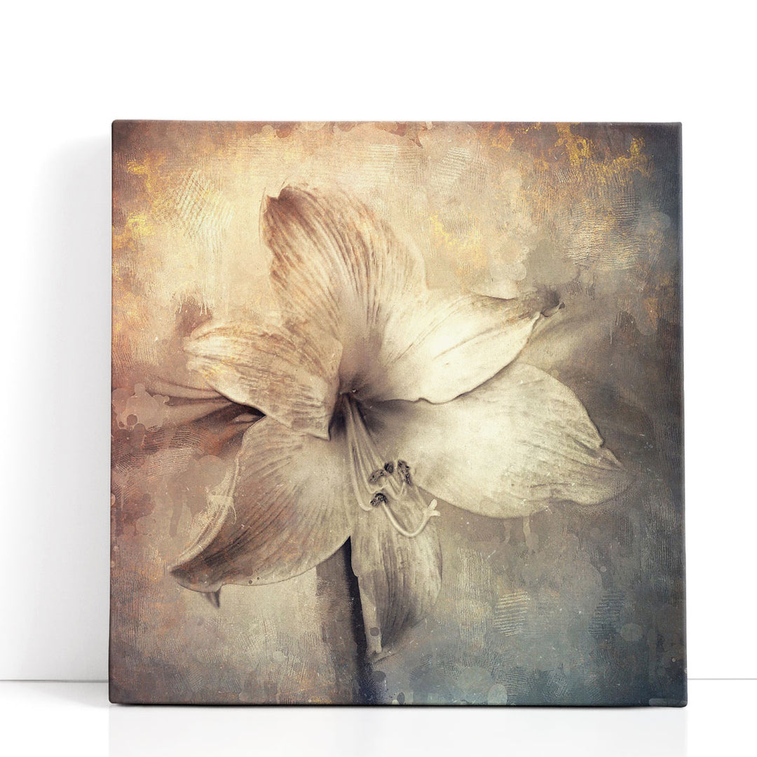 Amaryllis Flower with Artistic Monotone Textures - Canvas Print Wall Art