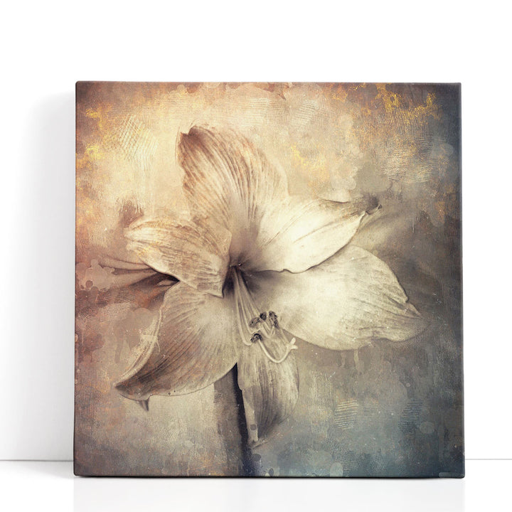 Amaryllis Flower with Artistic Monotone Textures - Canvas Print Wall Art