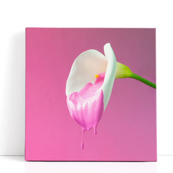 Calla Flower with Dripping Pink Paint - Canvas Print Wall Art