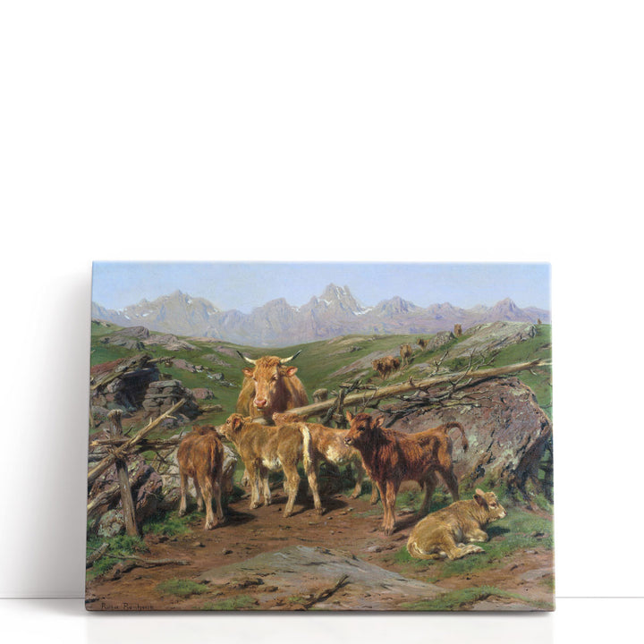 Weaning the Calves - Canvas Print Wall Art