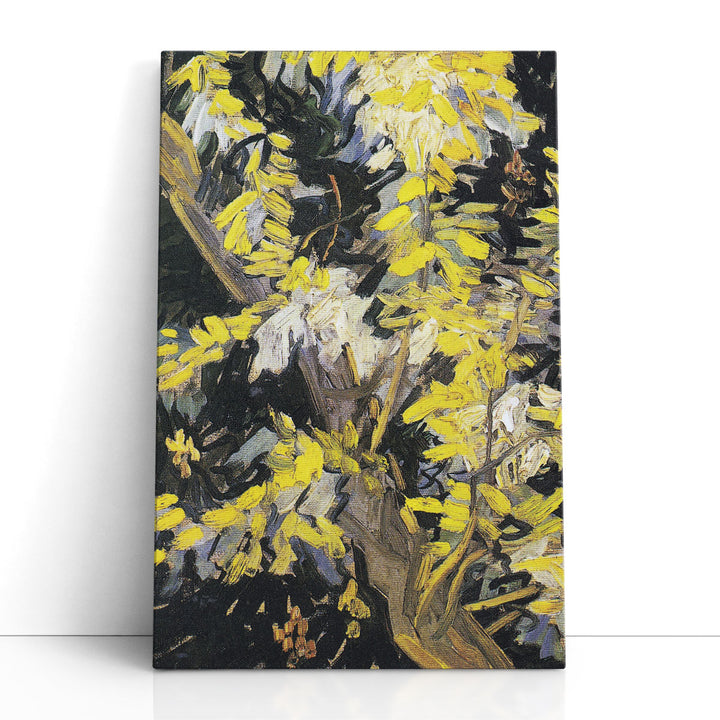 Blossoming Acacia Branches, 1890 - Canvas Print Wall Art