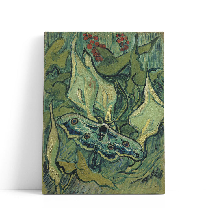 Emperor Moth, 1889 - Canvas Print Wall Art