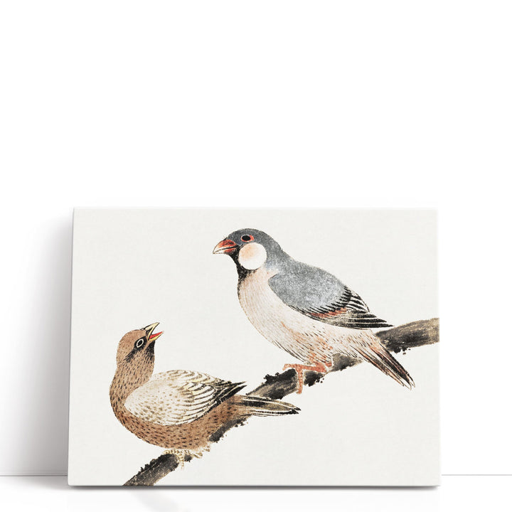 Birds, from Album of Sketches - Canvas Print Wall Art