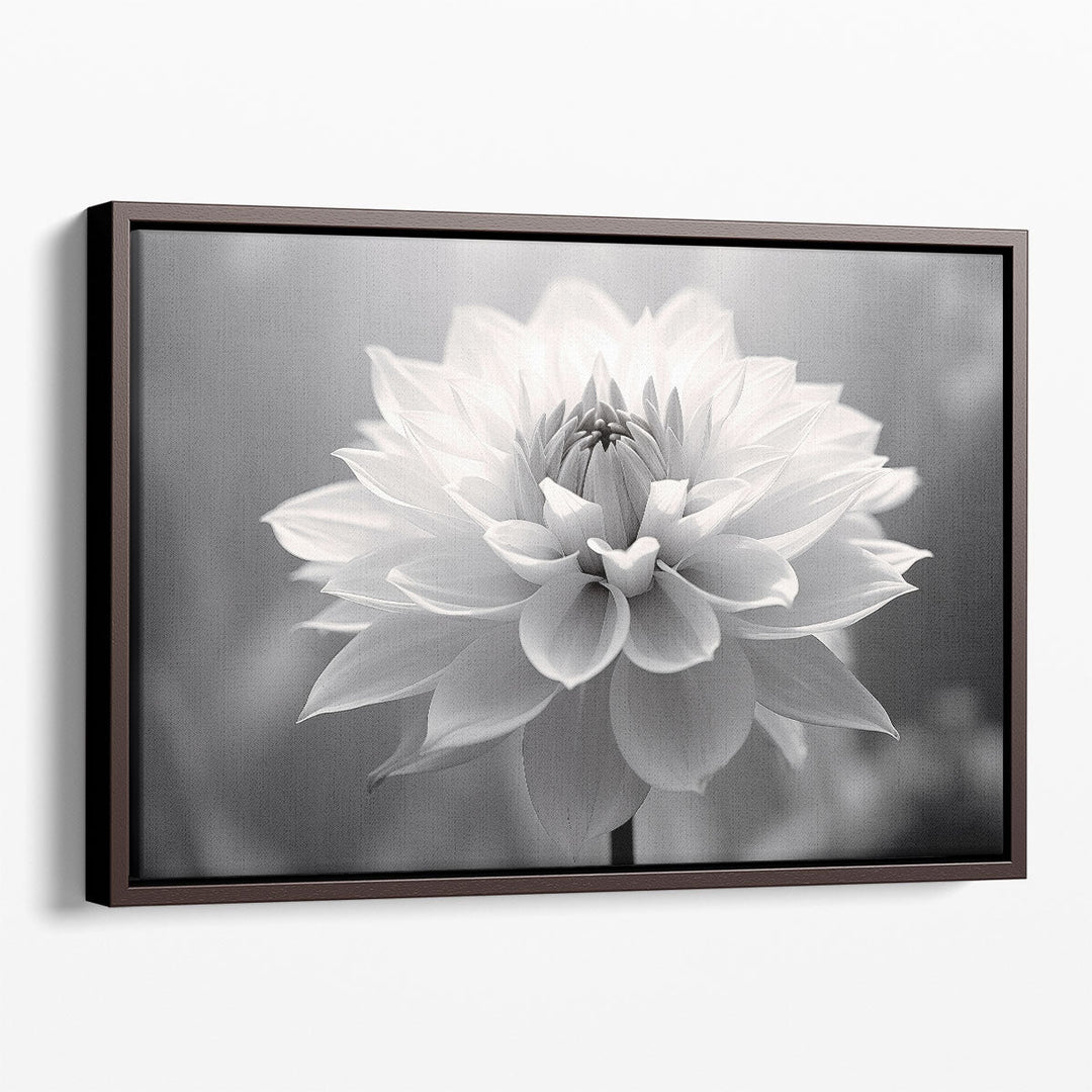 Softness in Monochrome - Canvas Print Wall Art