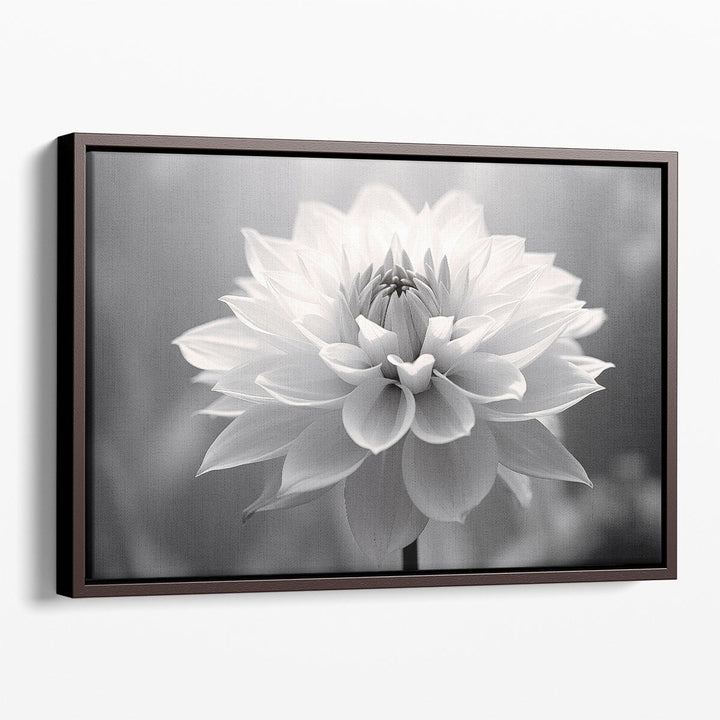 Softness in Monochrome - Canvas Print Wall Art
