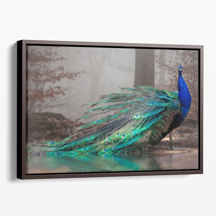 A Beautiful Peacock at a Lakeshore - Canvas Print Wall Art