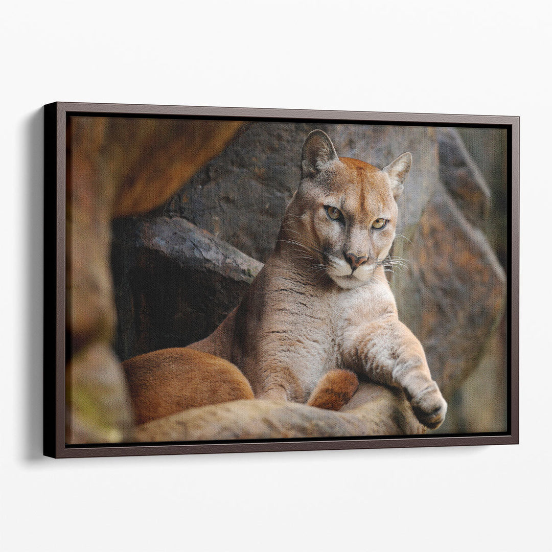 Wild Cat Cougar, Puma in the Forest - Canvas Print Wall Art