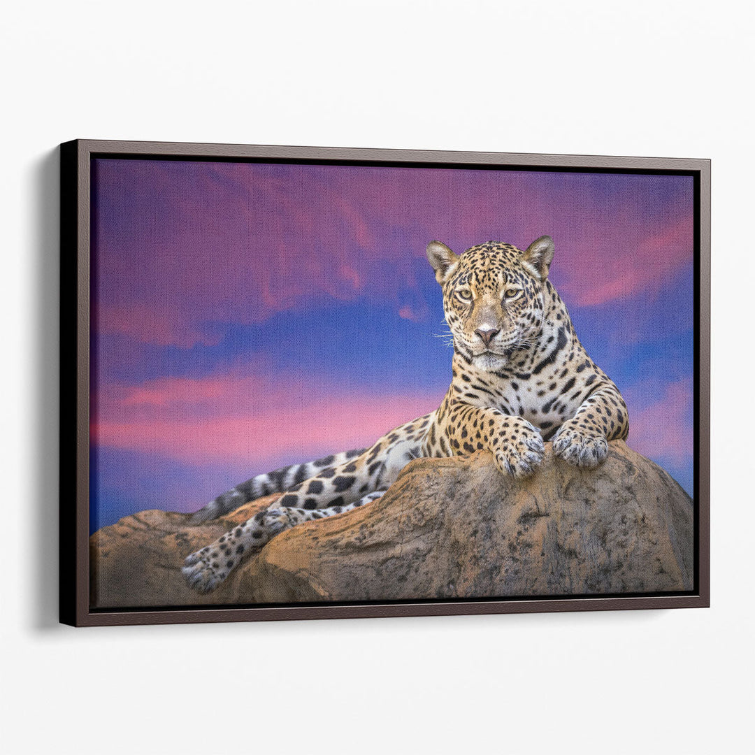 Jaguar On The Rocks - Canvas Print Wall Art