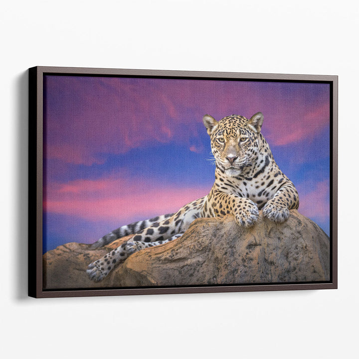 Jaguar On The Rocks - Canvas Print Wall Art