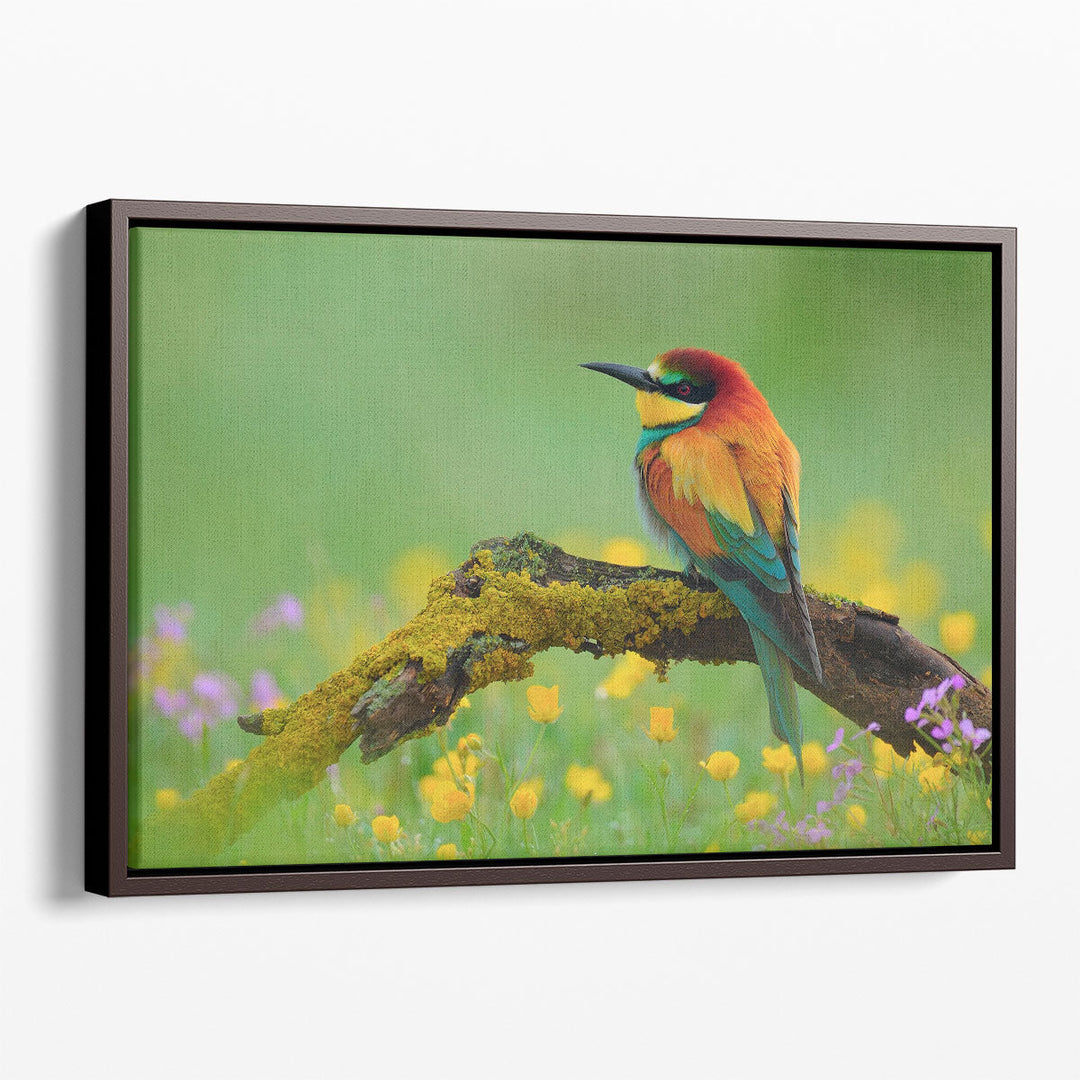 Bee-Eater Sitting on a Branch - Canvas Print Wall Art
