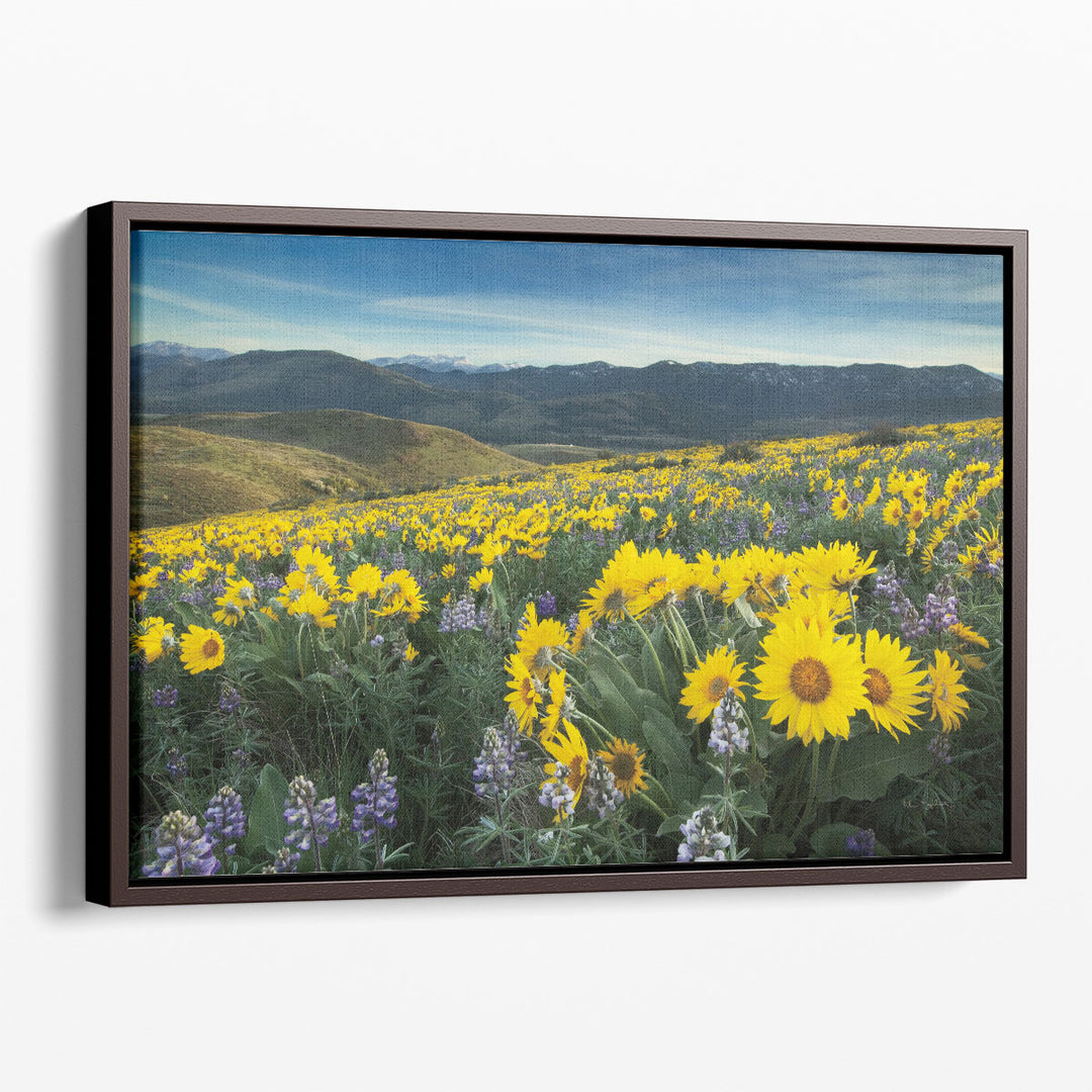 Scenic photography canvas prints of landscape and flowers