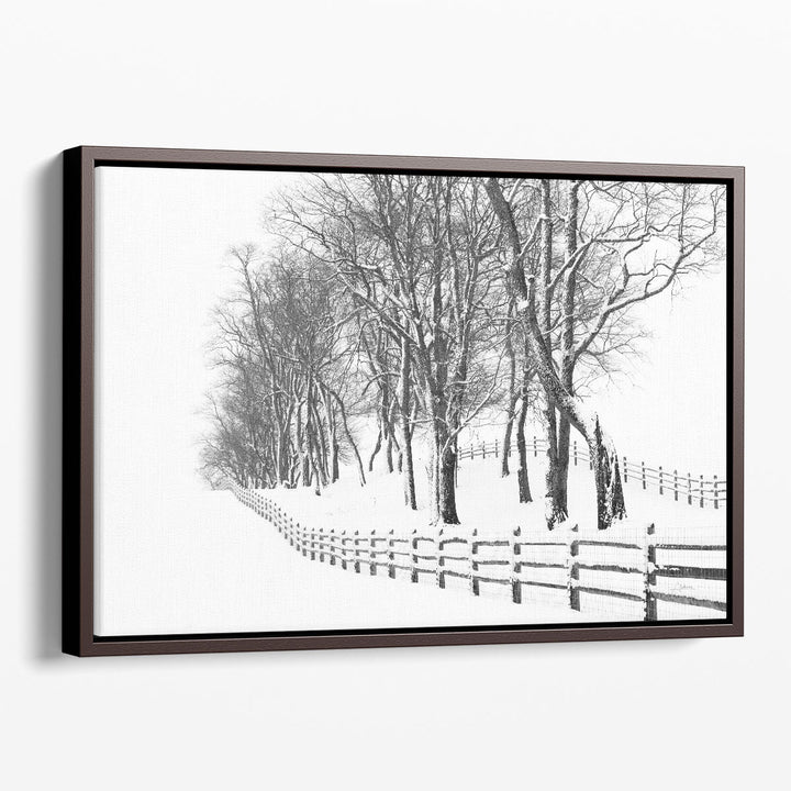 Winter Wonderland - Canvas Print Wall Art