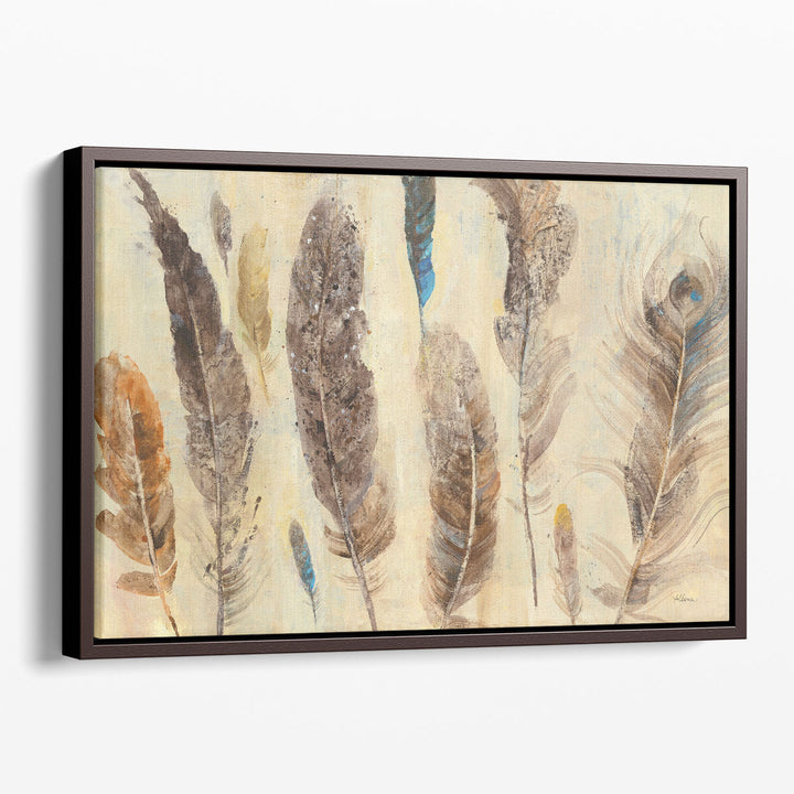 Feather Study - Canvas Print Wall Art