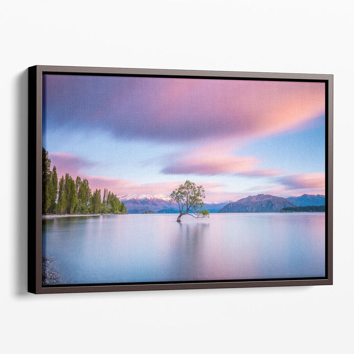 That Wanaka Tree At Sunrise - Canvas Print Wall Art