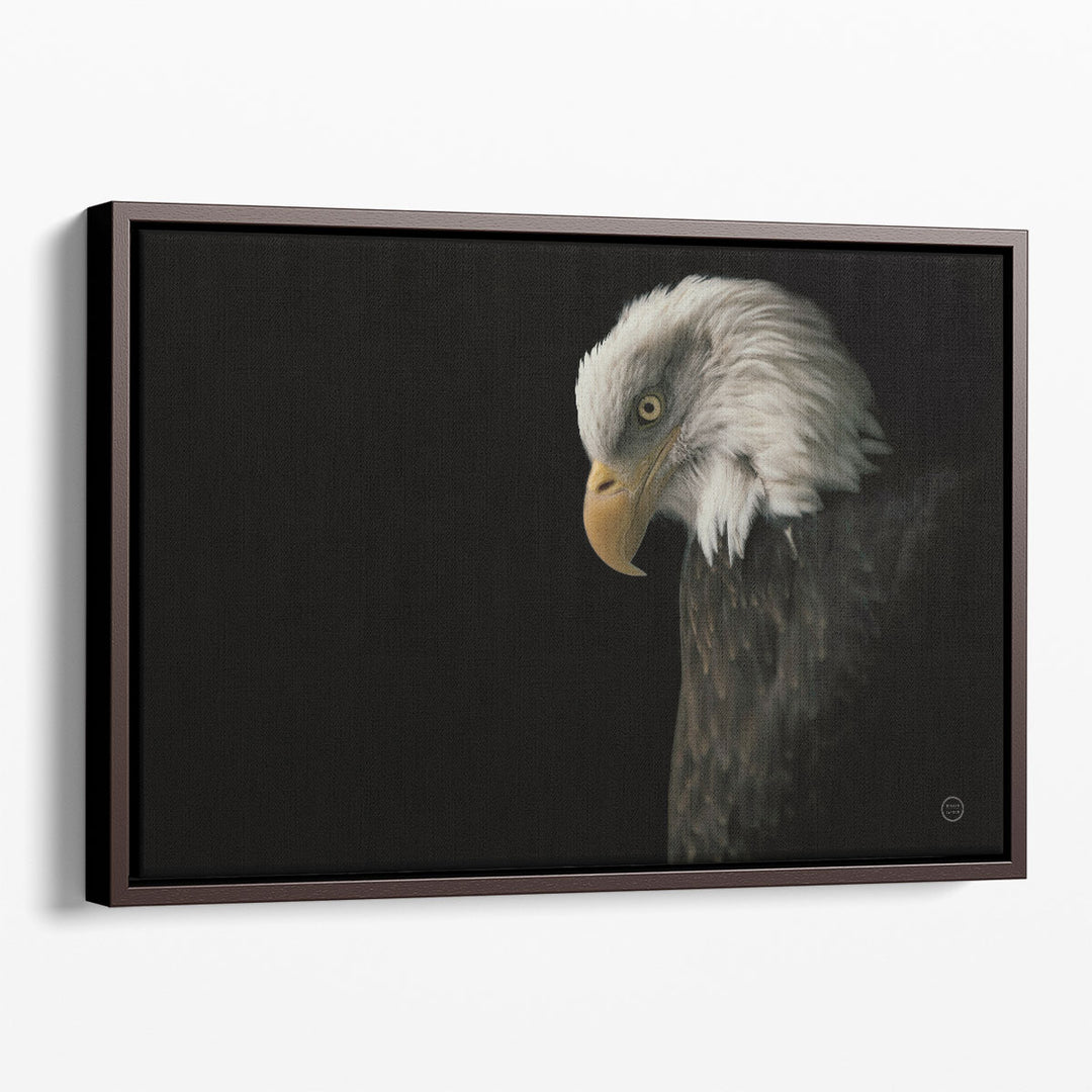 Wildlife photography print with black and white tones
