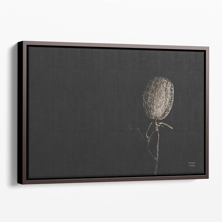 Fine art still life featuring delicate details