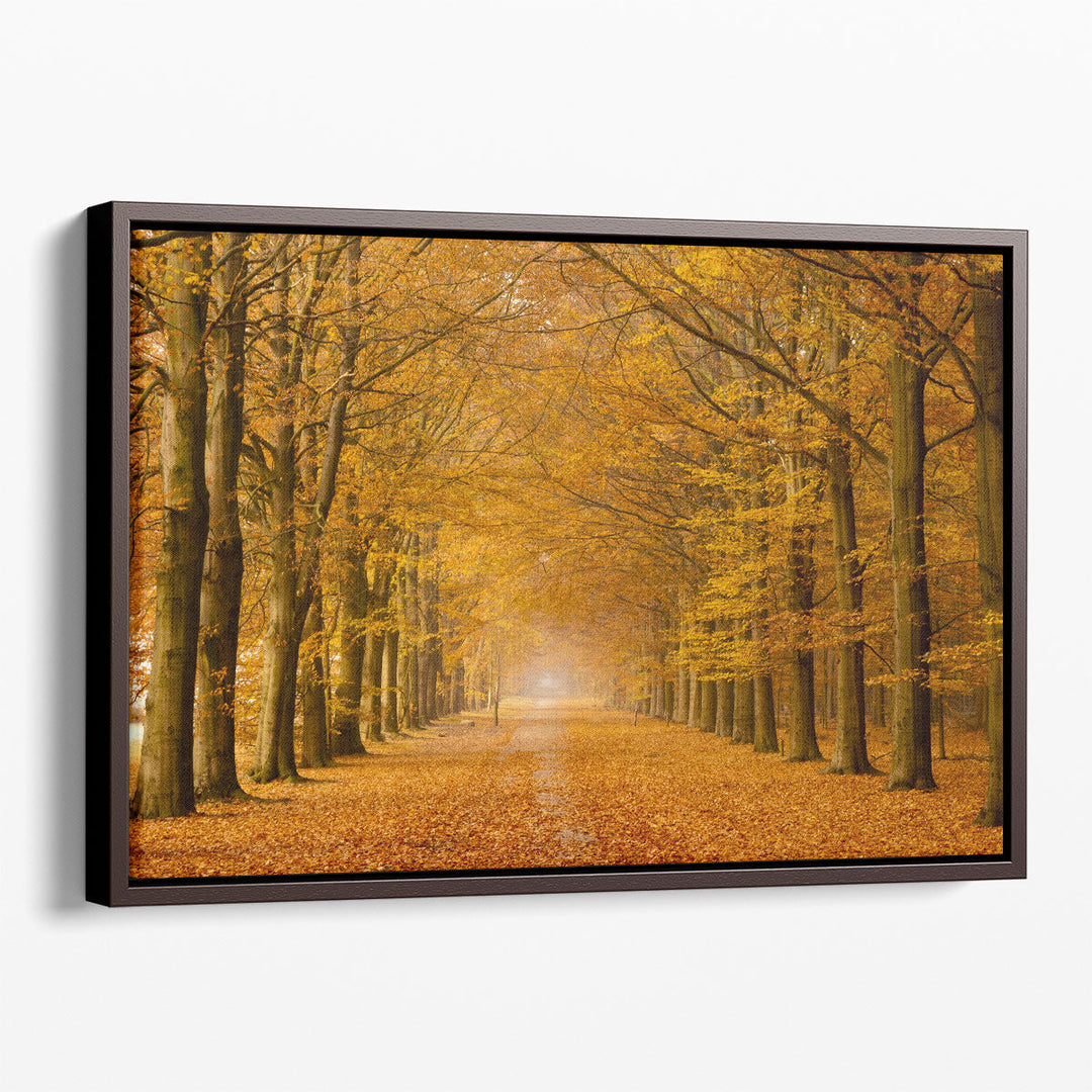 Autumn Trees - Canvas Print Wall Art