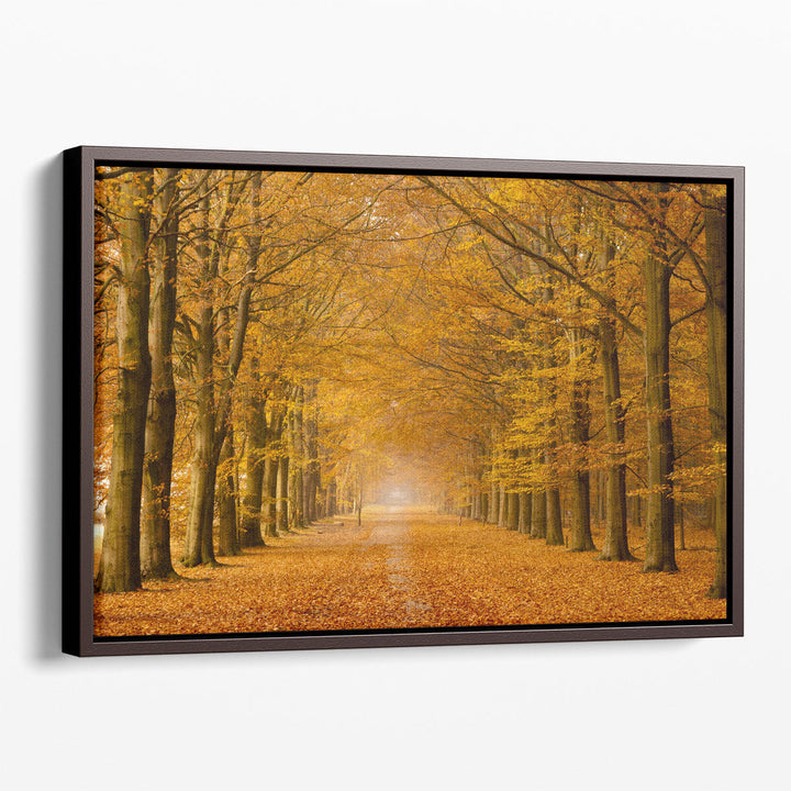 Autumn Trees - Canvas Print Wall Art