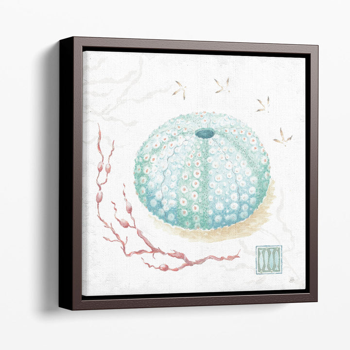 Delicate Sea VII - Canvas Print Wall Art