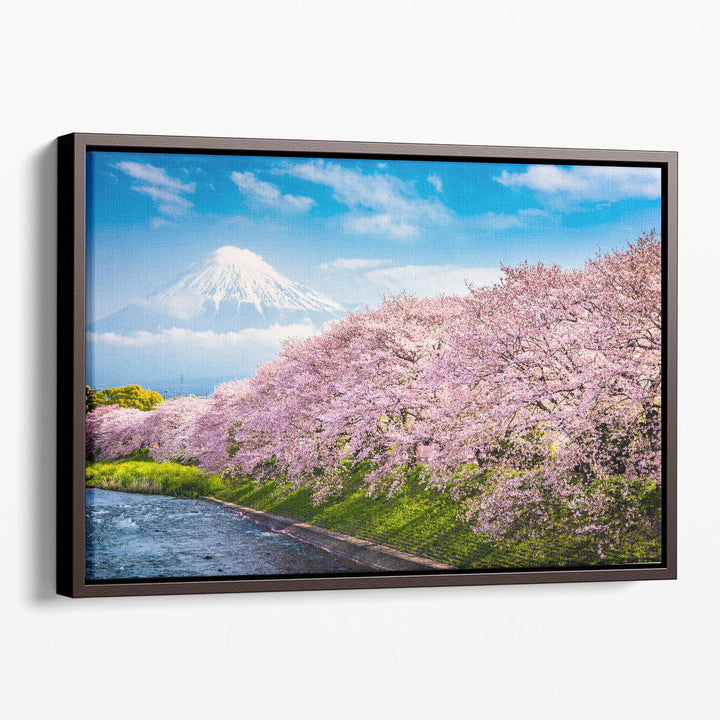 Pink Cherry Blossom Canvas Art – delicate blossom branch