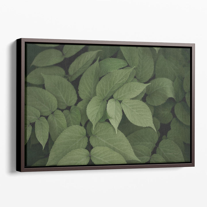 Leafy I - Canvas Print Wall Art