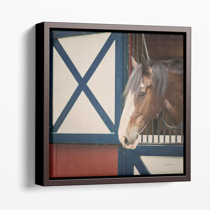 Patriotic Pony I - Canvas Print Wall Art