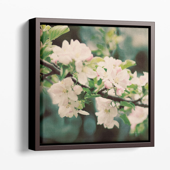 Apple Blossoms I - Canvas Print Wall Art