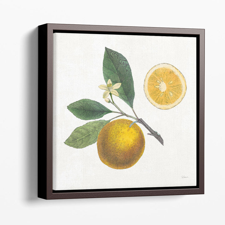 Citrus Fruit Wall Art – vibrant yellow cluster