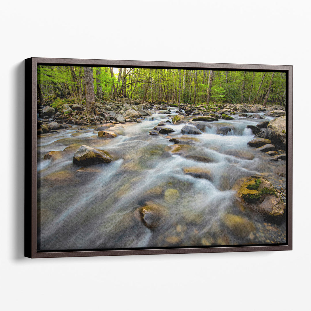 Brown rock prints with natural tones