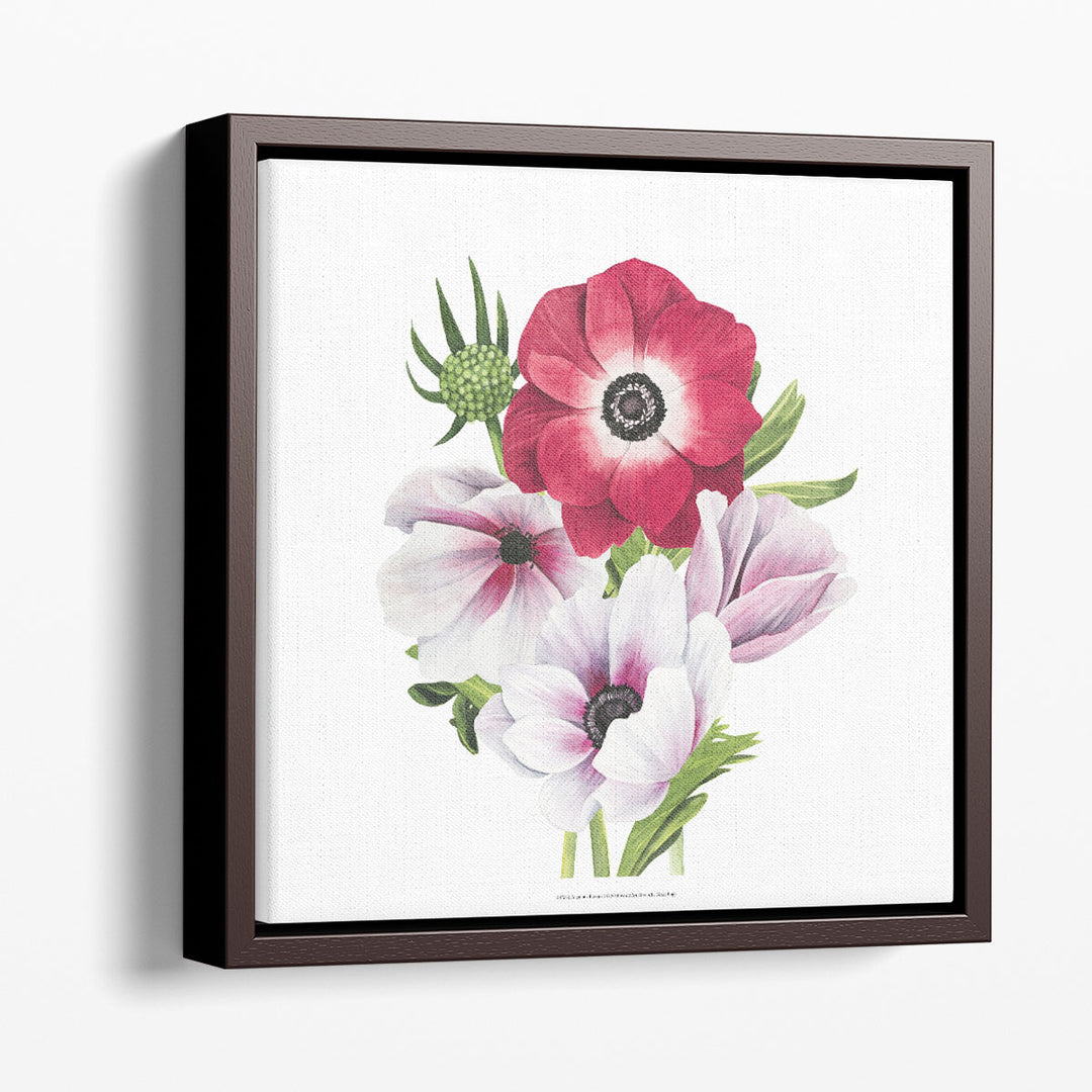 Anemone Blooms I - Canvas Print Wall Art