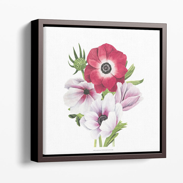 Anemone Blooms I - Canvas Print Wall Art