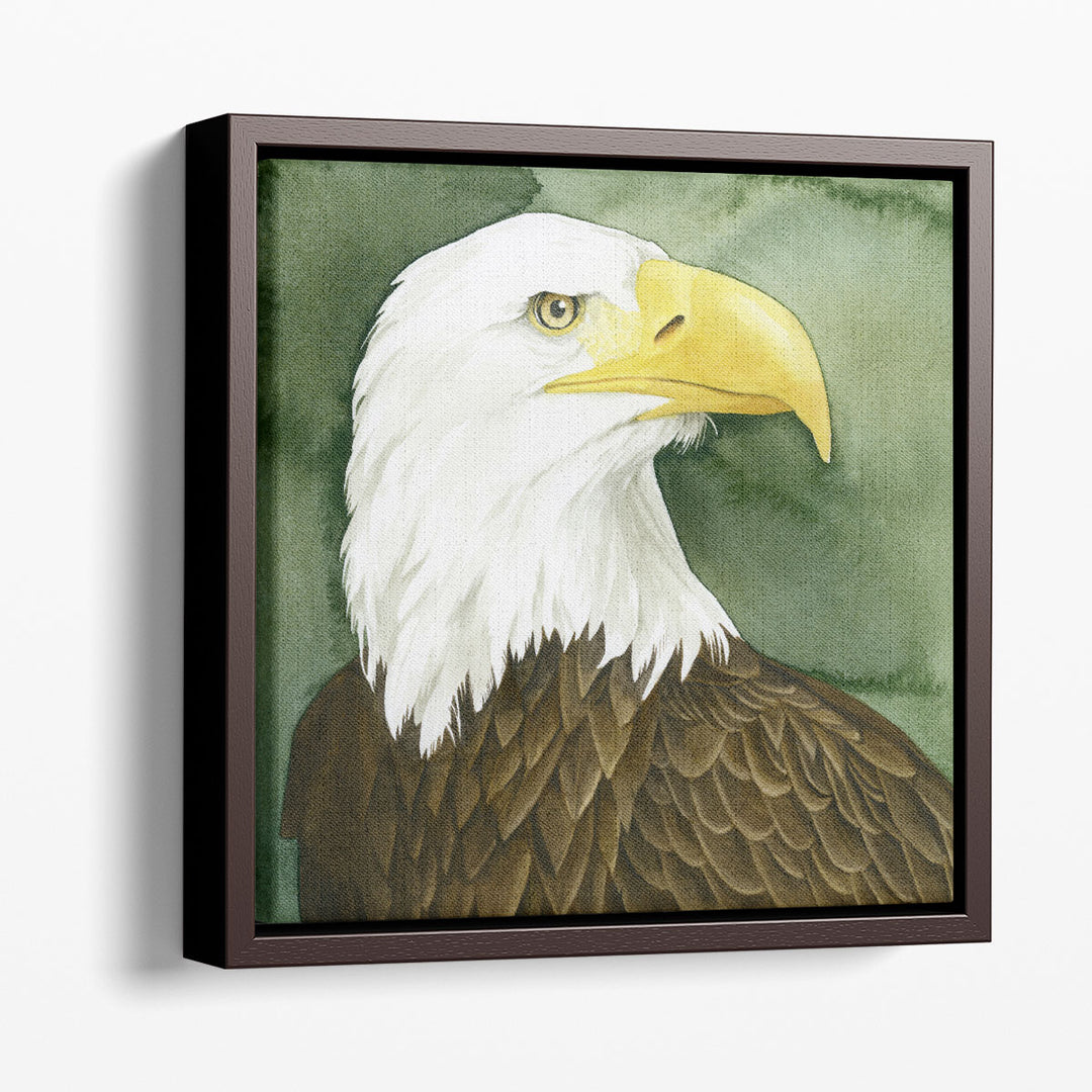 Bald Eagle Stare I - Canvas Print Wall Art