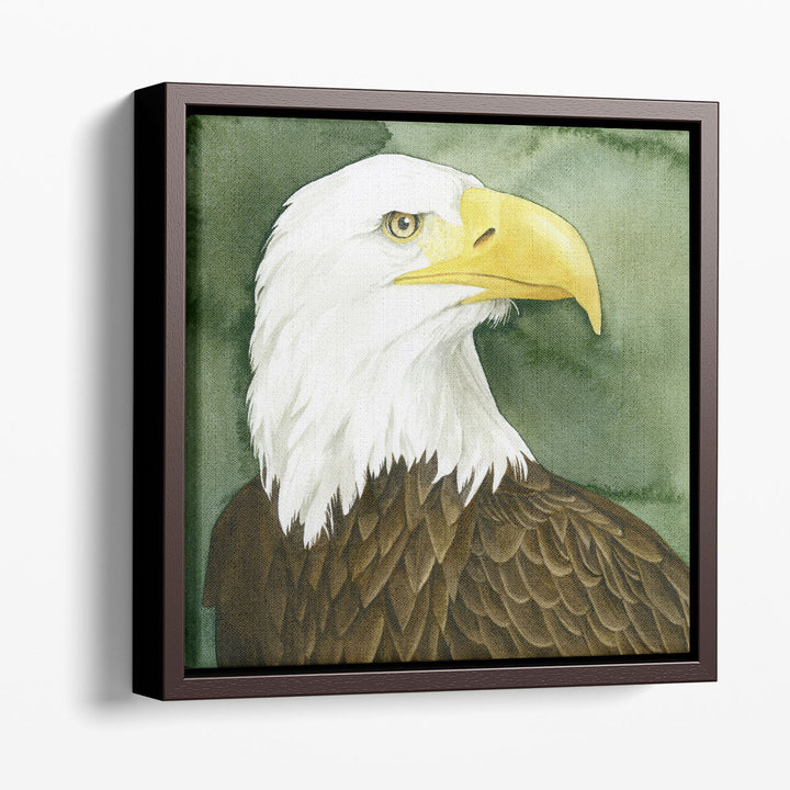Bald Eagle Stare I - Canvas Print Wall Art