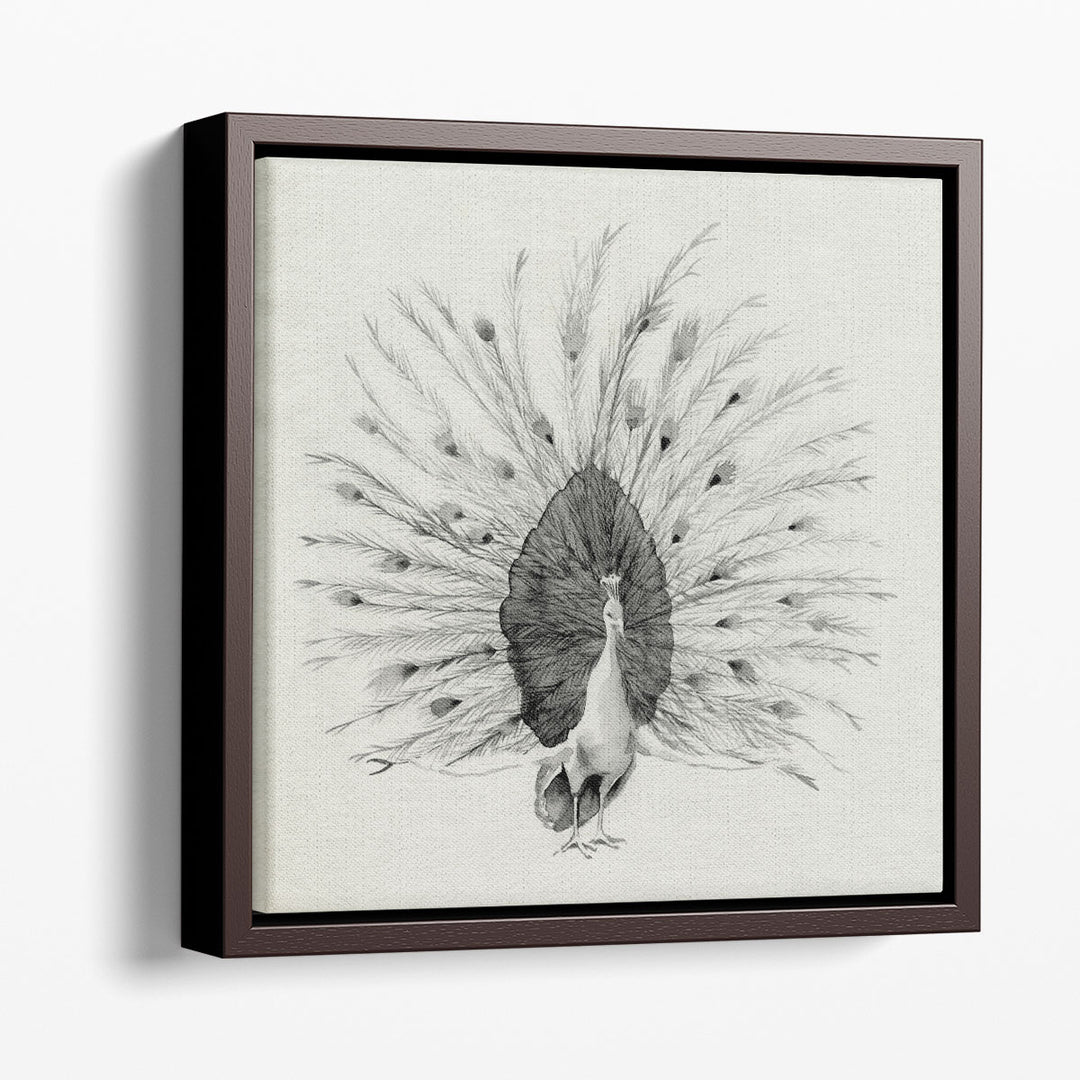 Ebony Plumed Peacock I - Canvas Print Wall Art