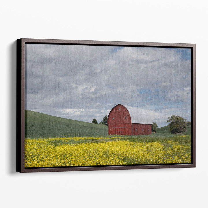 Yellow flower canvas prints with rustic countryside scene