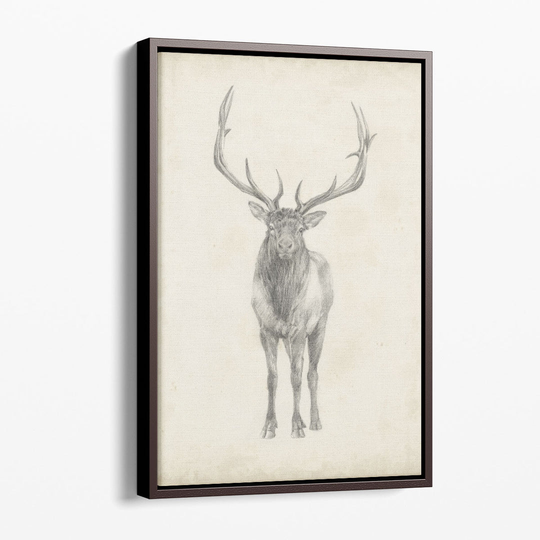 Elk Study - Canvas Print Wall Art