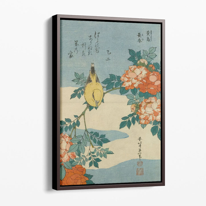 Black-Naped Oriole And China Rose, 1833 - Canvas Print Wall Art