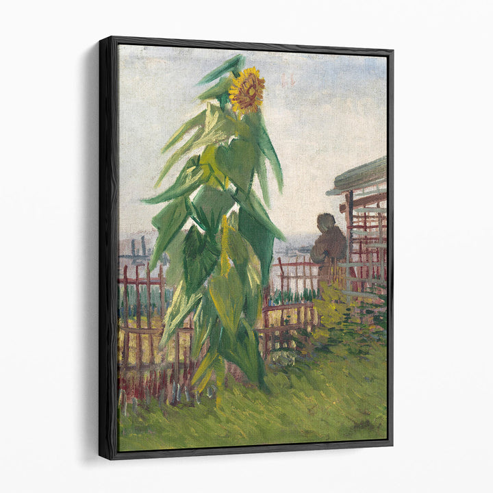 Allotment with Sunflower, 1887 - Canvas Print Wall Art