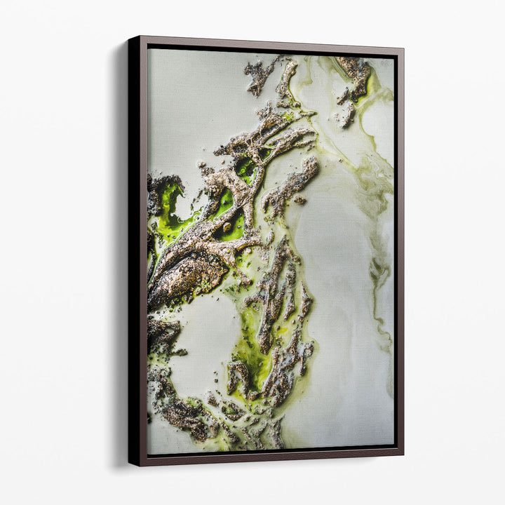 Olive Enigma - Canvas Print Wall Art