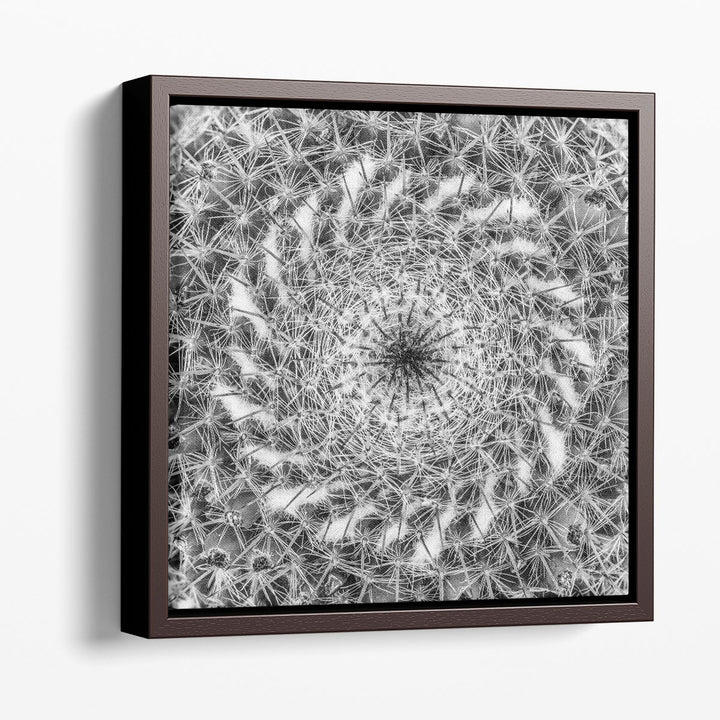 Cacti Close Up - Canvas Print Wall Art