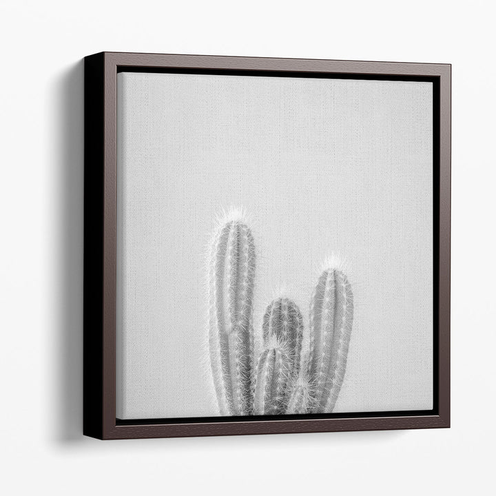 Micranthocereus Estevesii Cactus - Canvas Print Wall Art