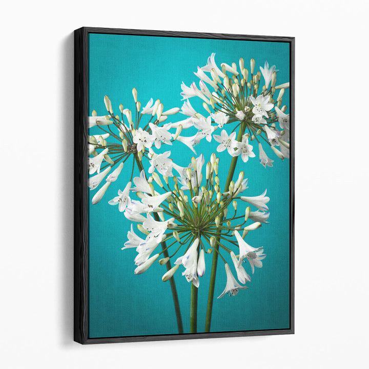 African Lily 2 - Canvas Print Wall Art